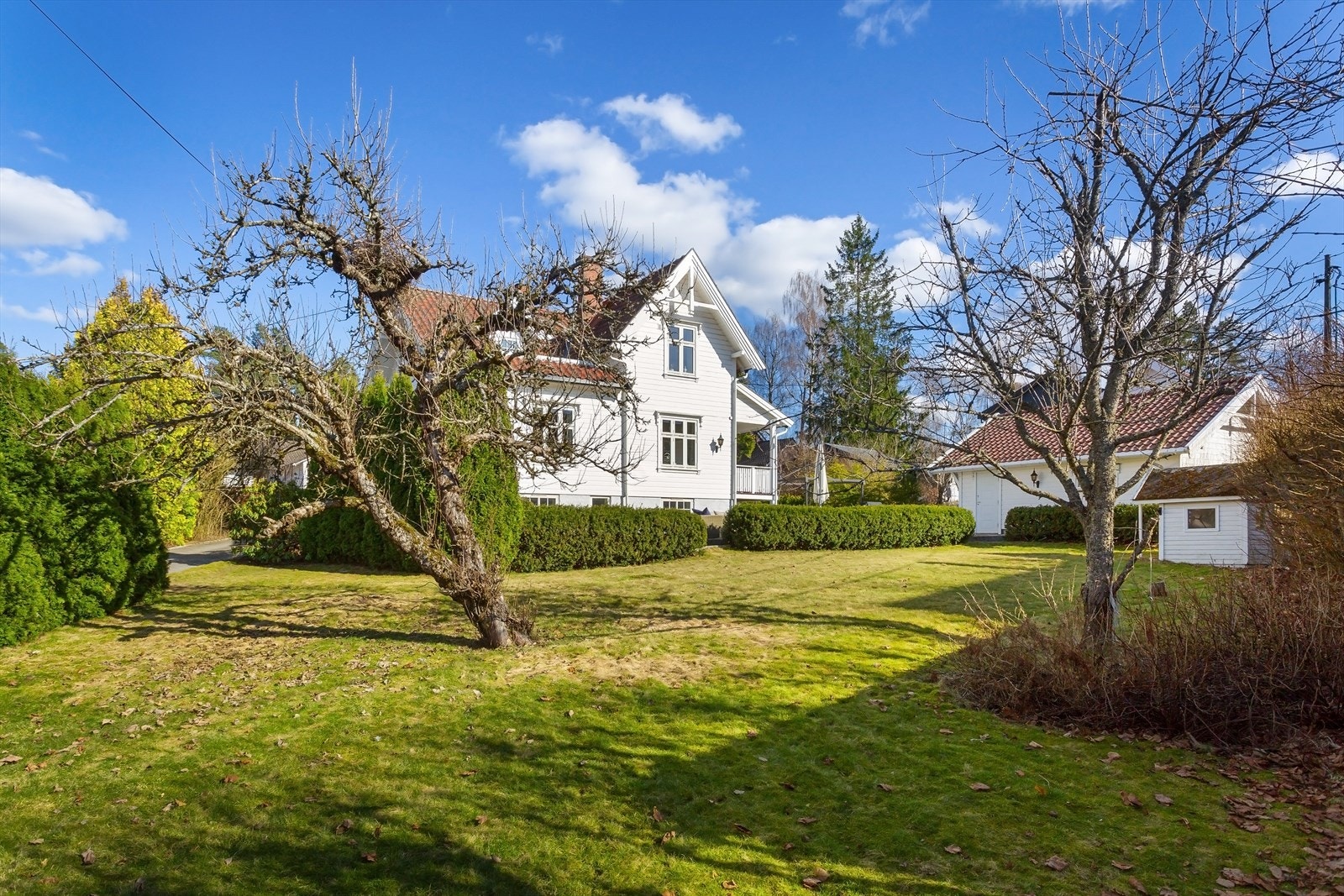 Stor hage Galleribilde