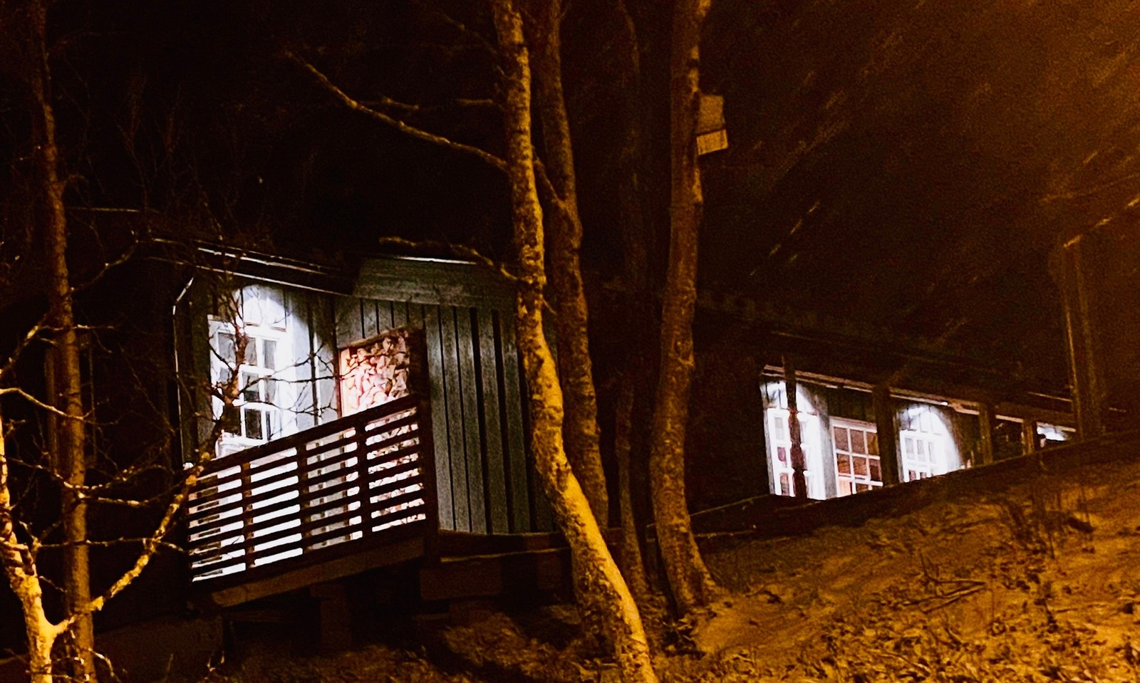 Selgers bilde Galleribilde