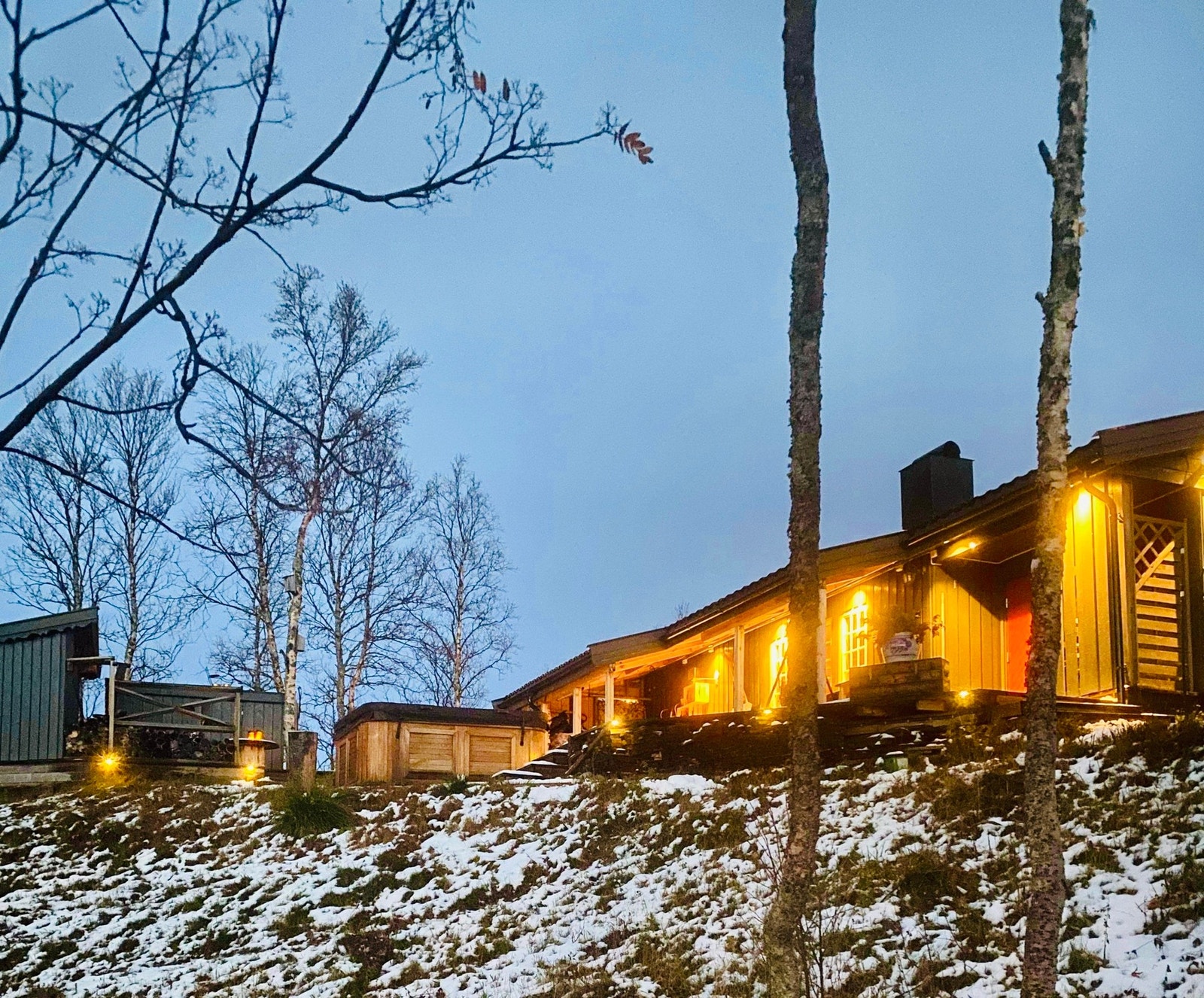 Selgers bilde Galleribilde