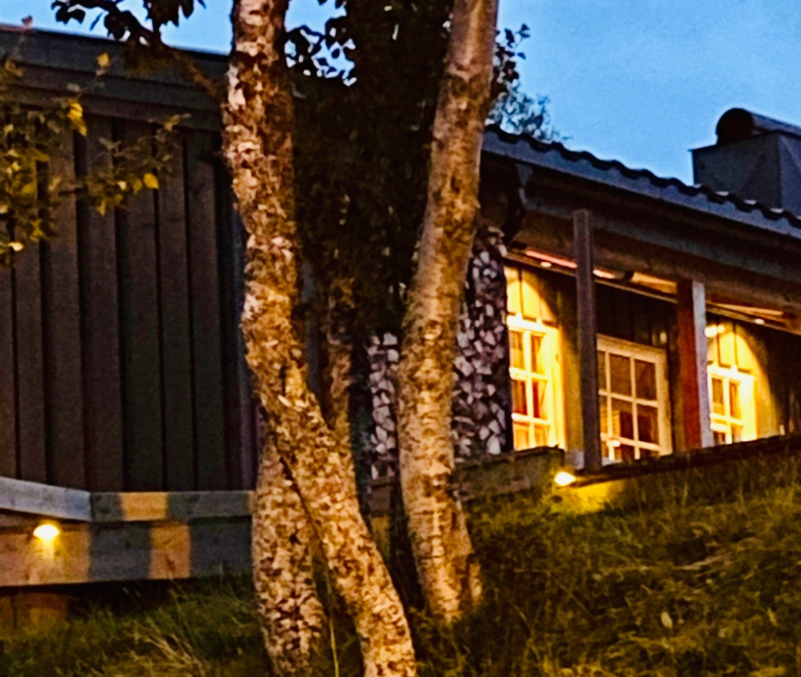 Selgers bilde Galleribilde