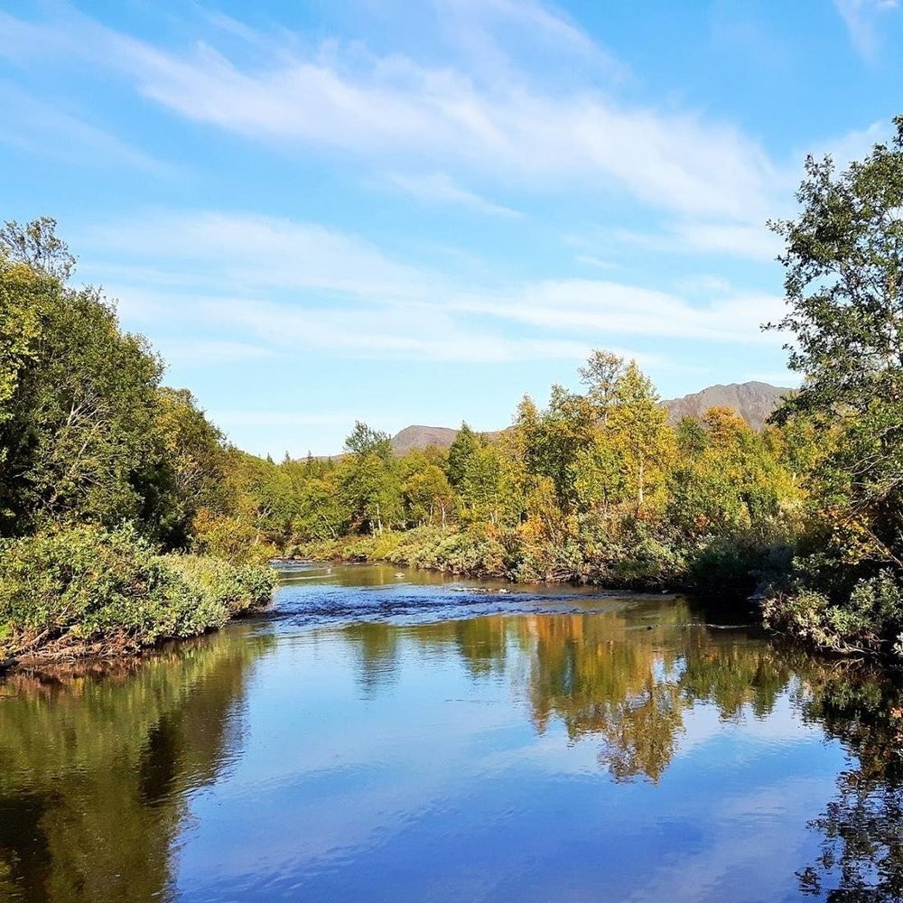 Kan det friste med en dukkert i stilla? Galleribilde