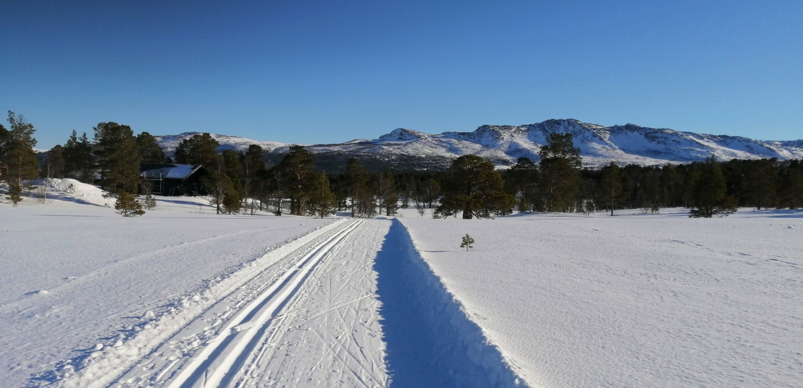 Skiløype fra Nerskogen Skisenter går rett gjennom hyttefeltet Galleribilde
