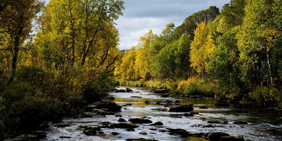 I elva Grana kan du fiske etter ørrett Galleribilde