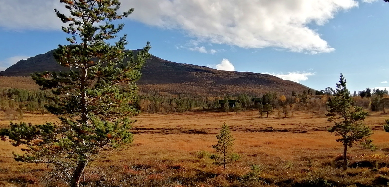 Hyttefeltet ligger ved foten av Leverkinna Galleribilde