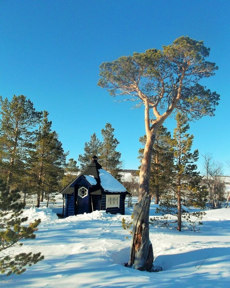 Tilgang til grillhytte i feltet Galleribilde