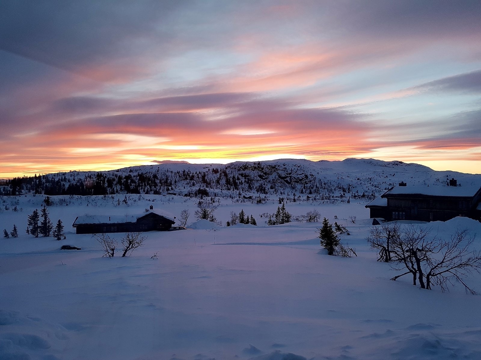 Området 8. Galleribilde