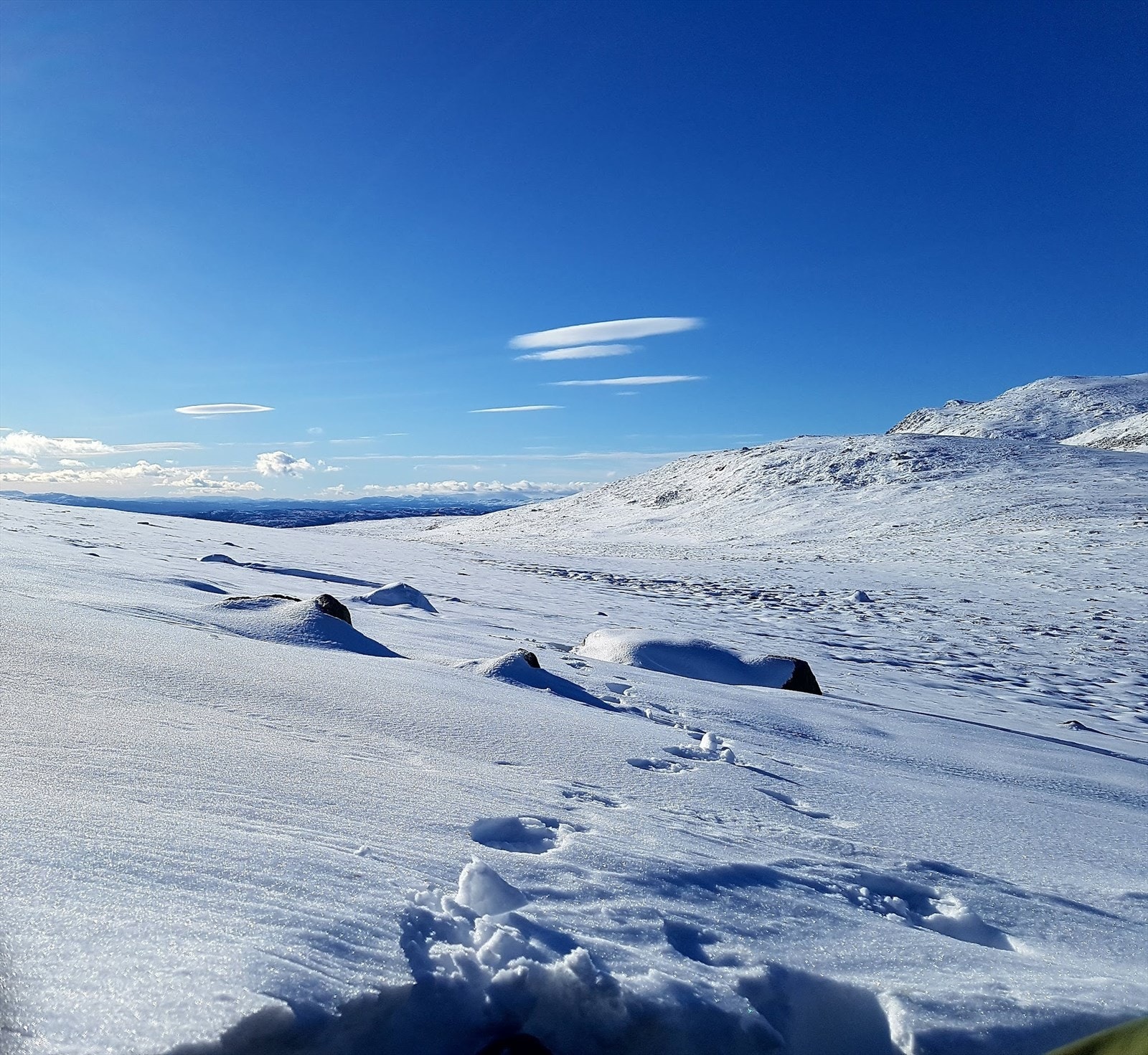 Området 7. Galleribilde