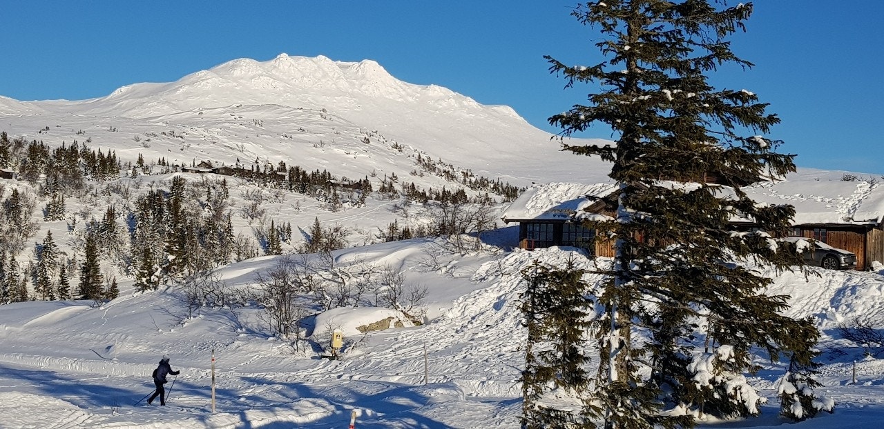 Området 11. Galleribilde