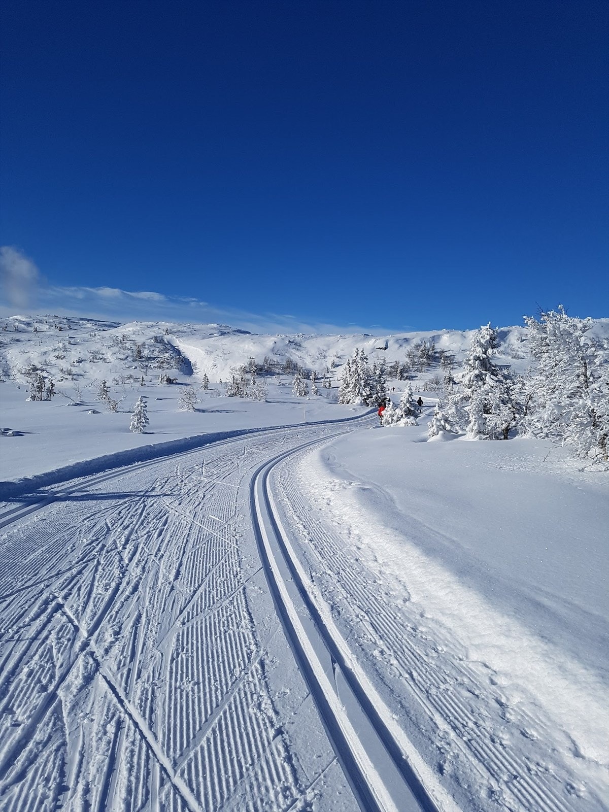 _Fantastiske maskinpreparerte skiløyper rett ved hytta som kobler deg på hele løypenettet. Galleribilde