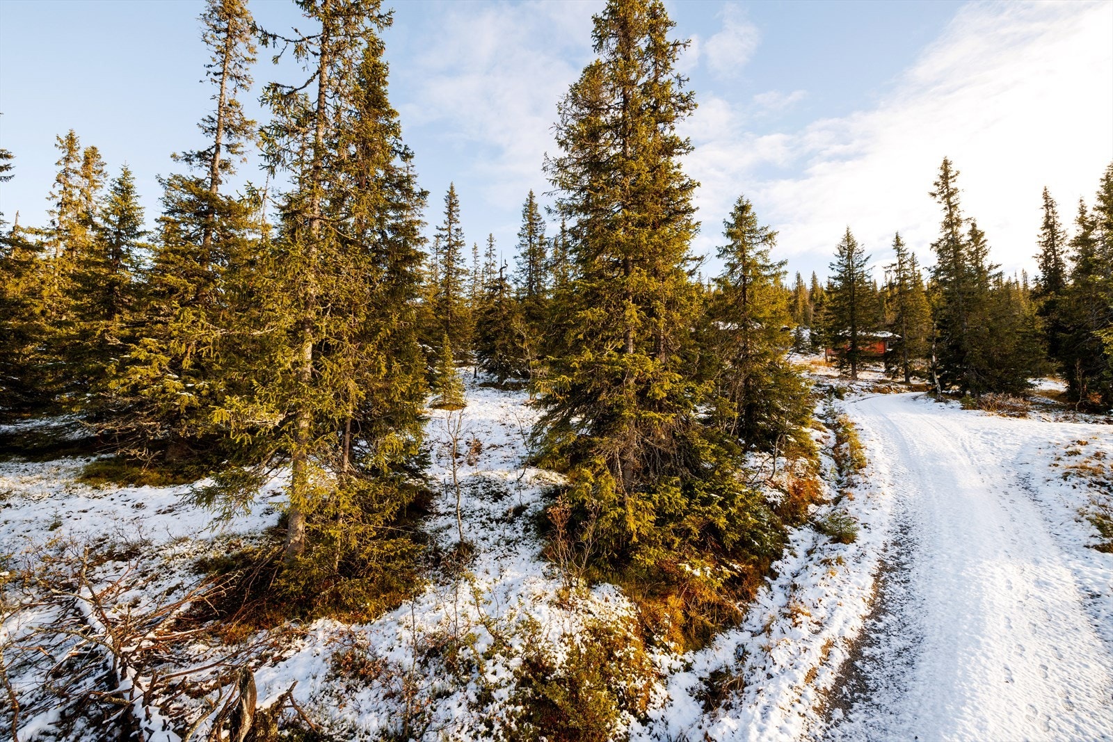 Maksimal grunnflate 120 m², ekskl. uthus. Galleribilde