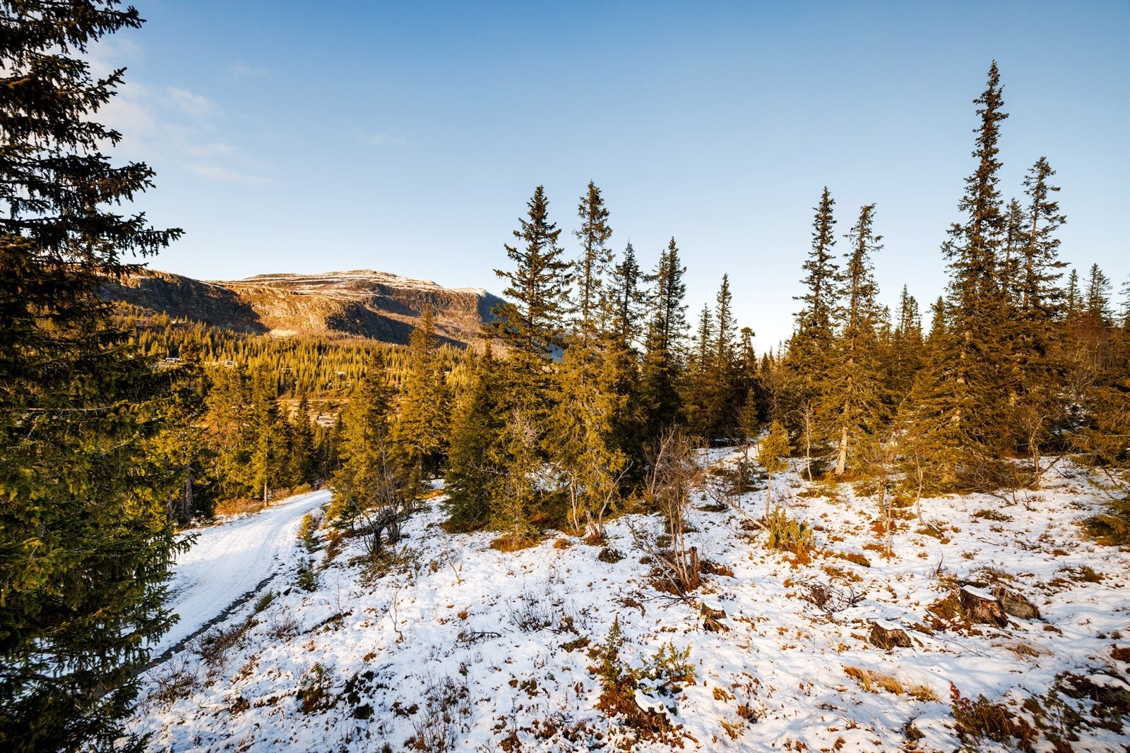 Eiendommen er regulert til fritidsbebyggelse. Galleribilde