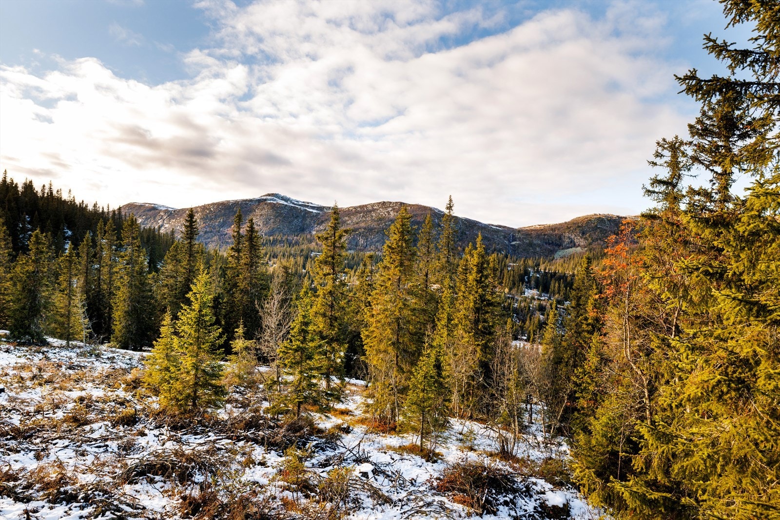 Området er et eldorado for turinteresserte, både sommer som vinter. Galleribilde
