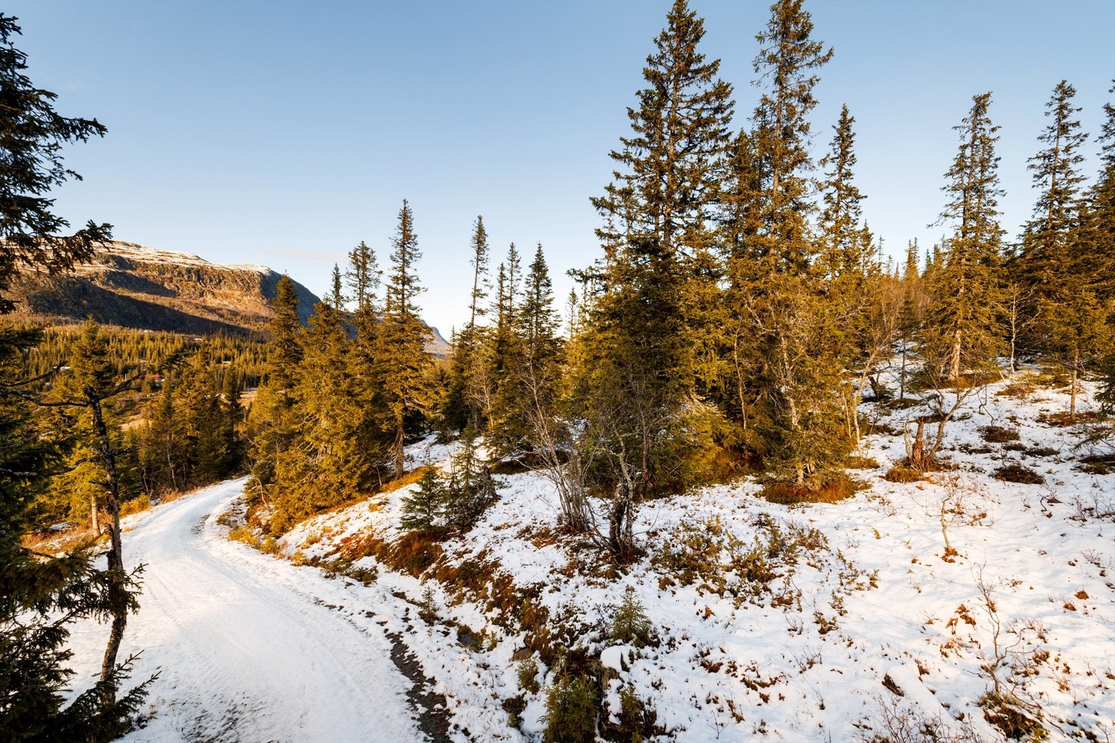 Ifølge reguleringsbestemmelsene kan eiendommen bebygges med 1 hytte i en etasje, men kommunen kan godkjenne oppstugu. Galleribilde