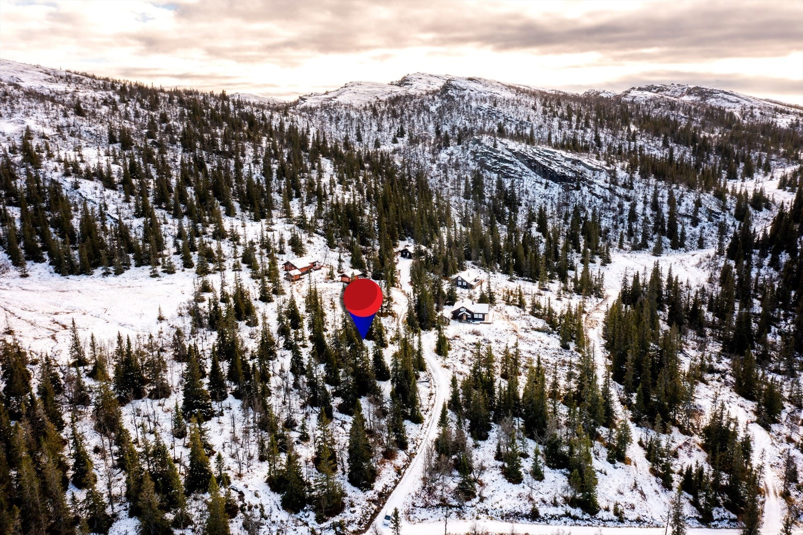 Velkommen til Slokolia 70! Galleribilde