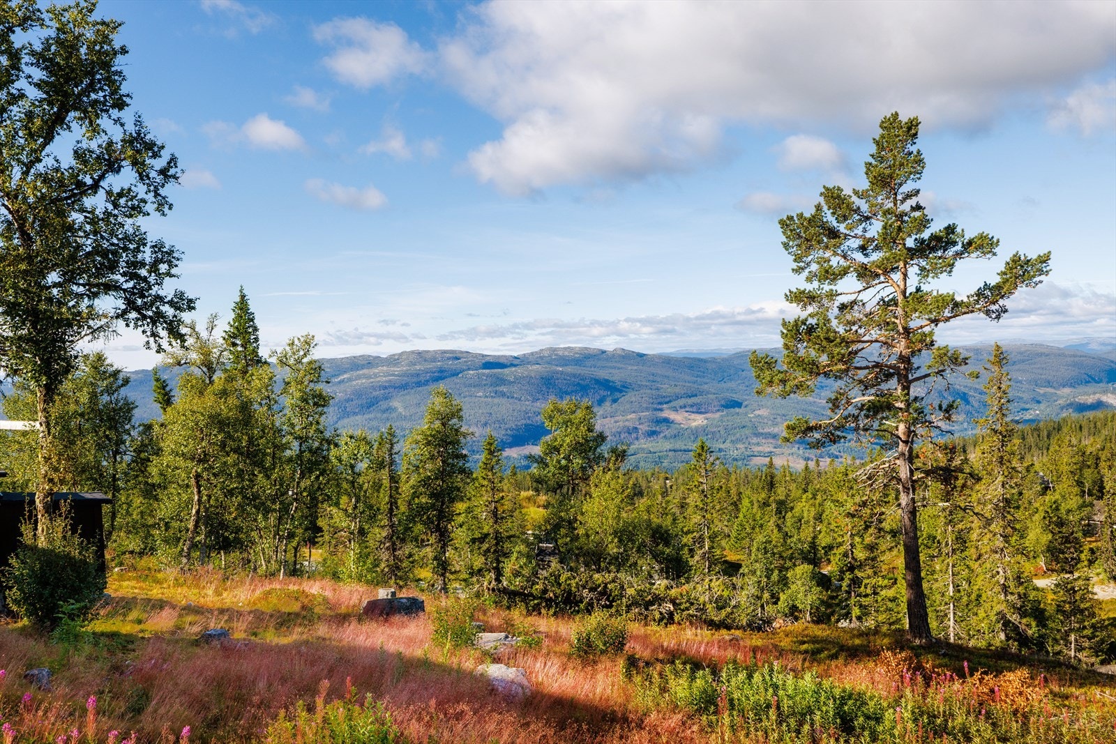 Nydelig utsikt og svært gode solforhold. Galleribilde