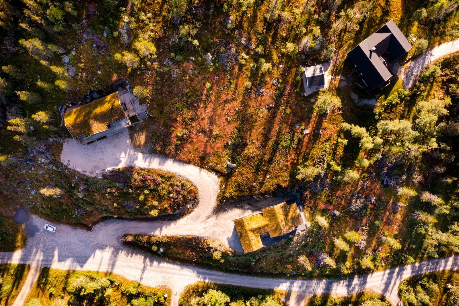 Tomten i fugleperspektiv. Galleribilde