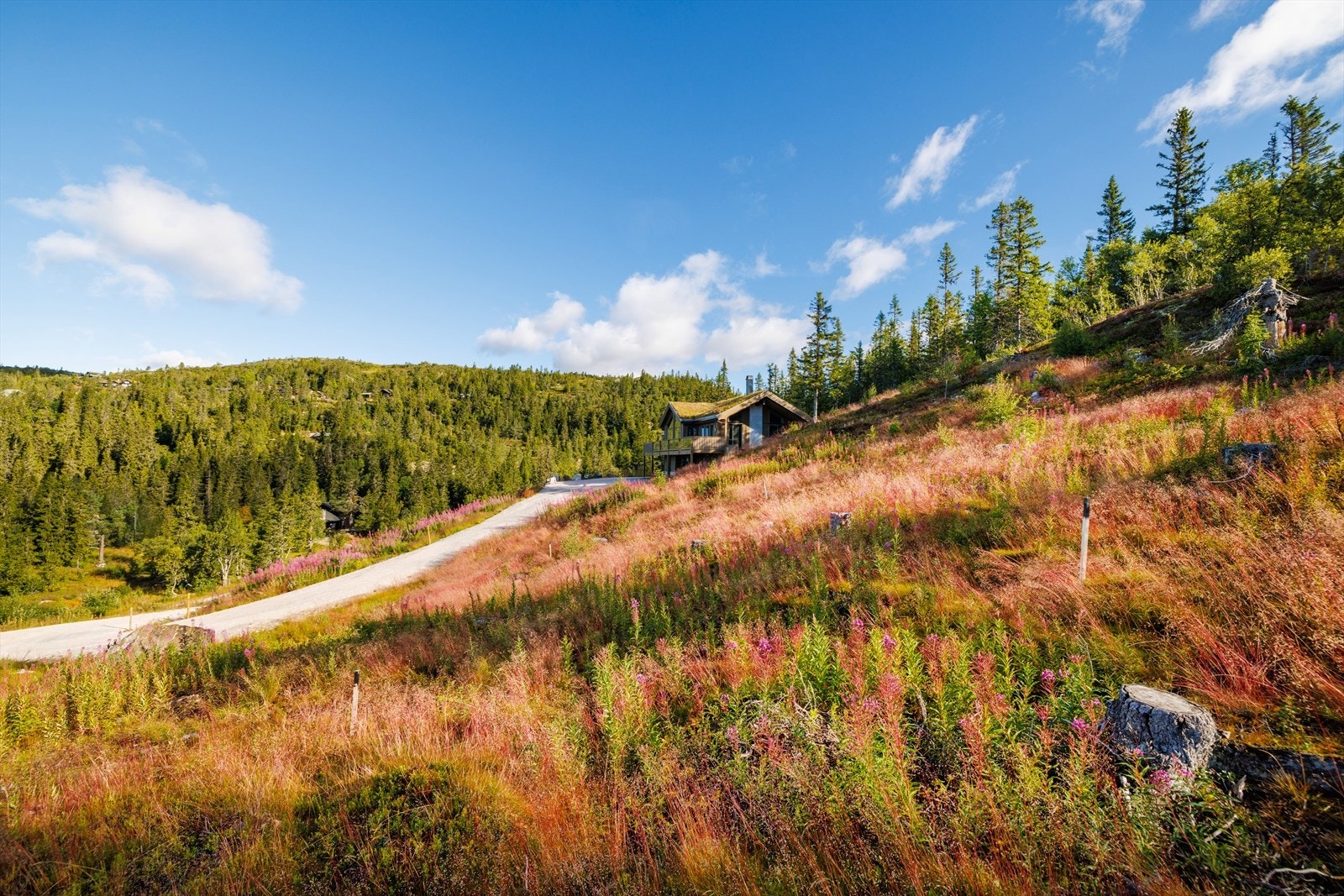 Tomten er romslig. På nedre del er det etablert en felles avstikker for eiendommene. Galleribilde