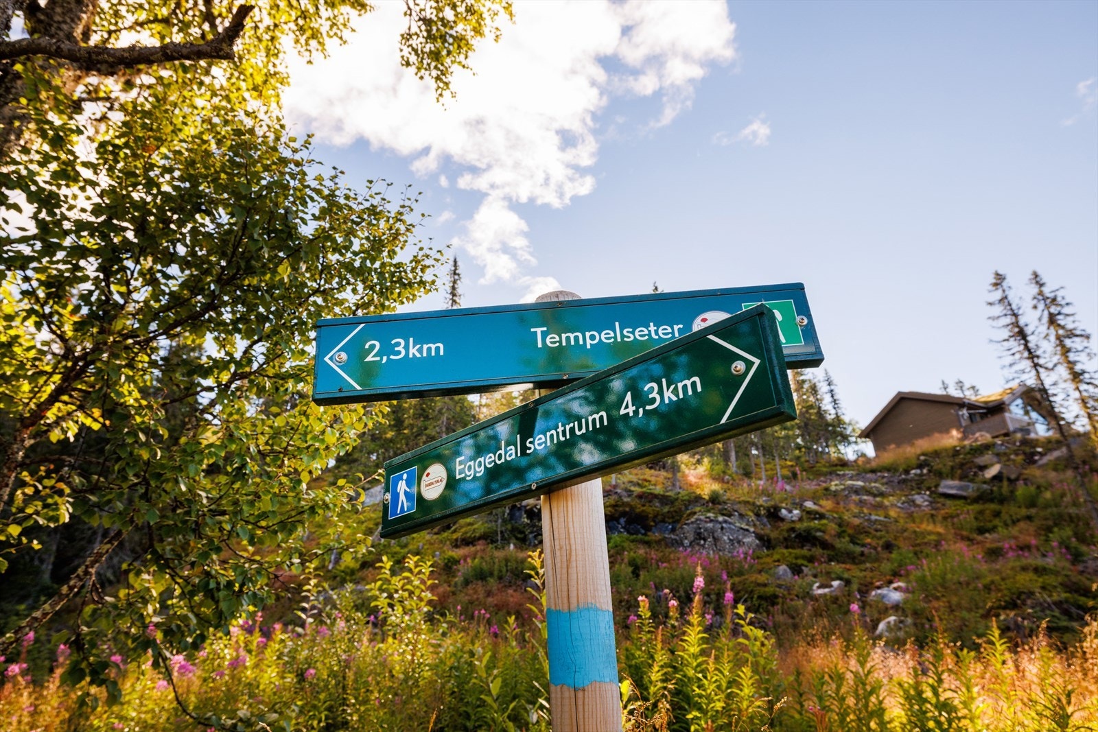 Gangavstand til Tempelseter med serveringsted - hvor god mat og drikke kan nytes i hyggelige omgivelser. Galleribilde