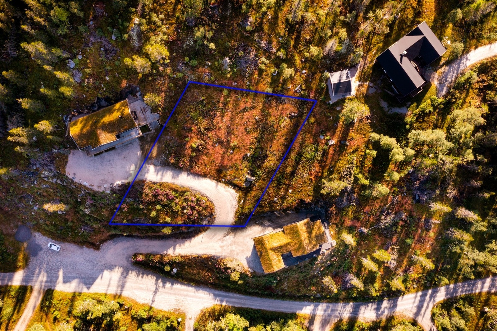 Tomten markert med blå firkant. Galleribilde