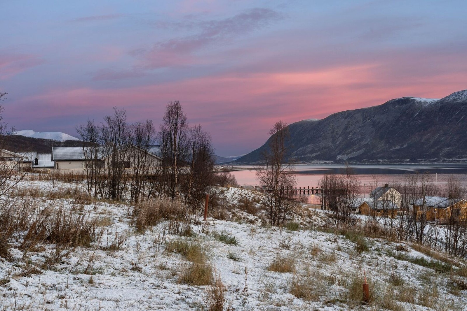 Hansnes. Galleribilde