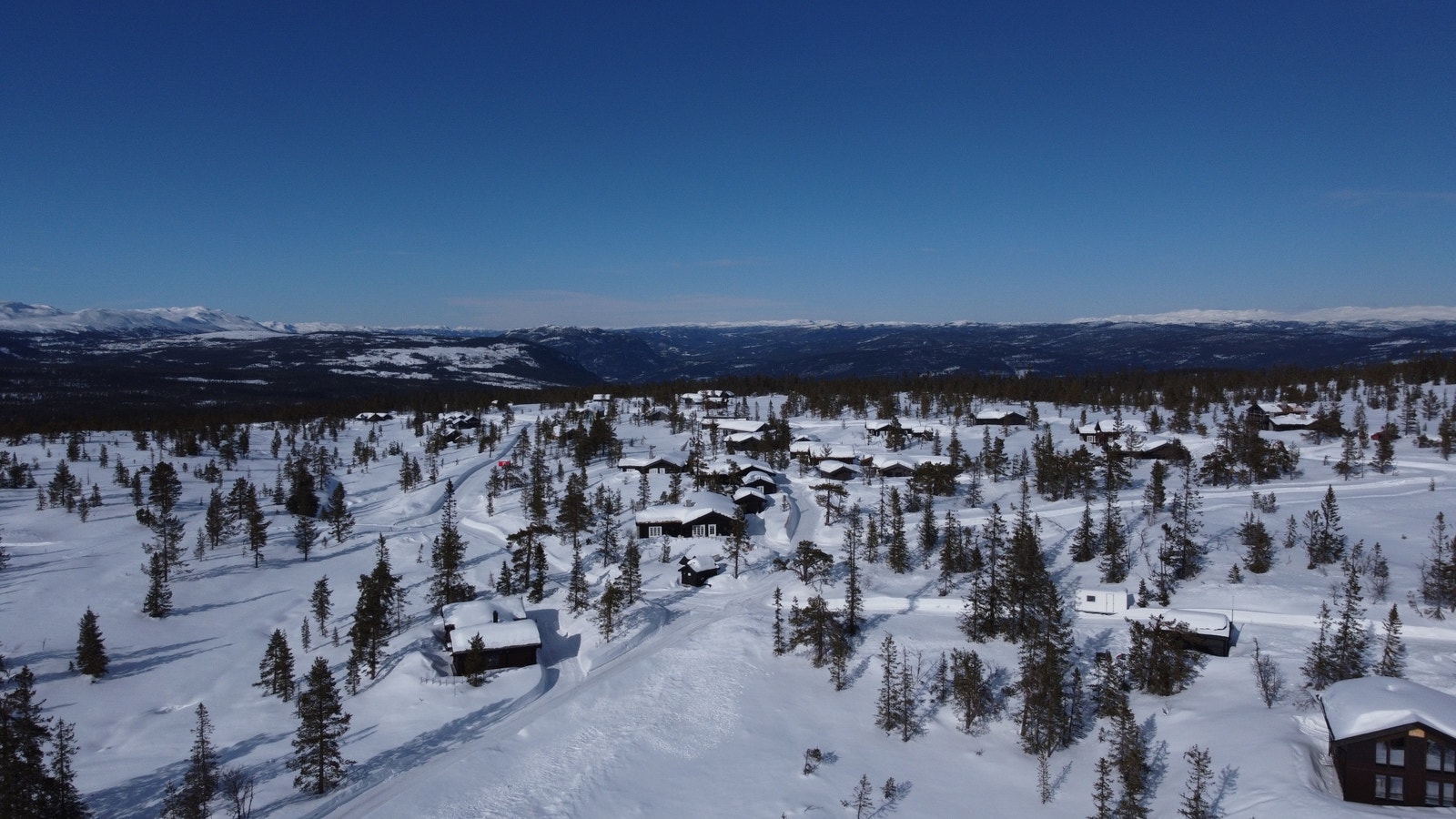 Dronebilde over feltet Galleribilde