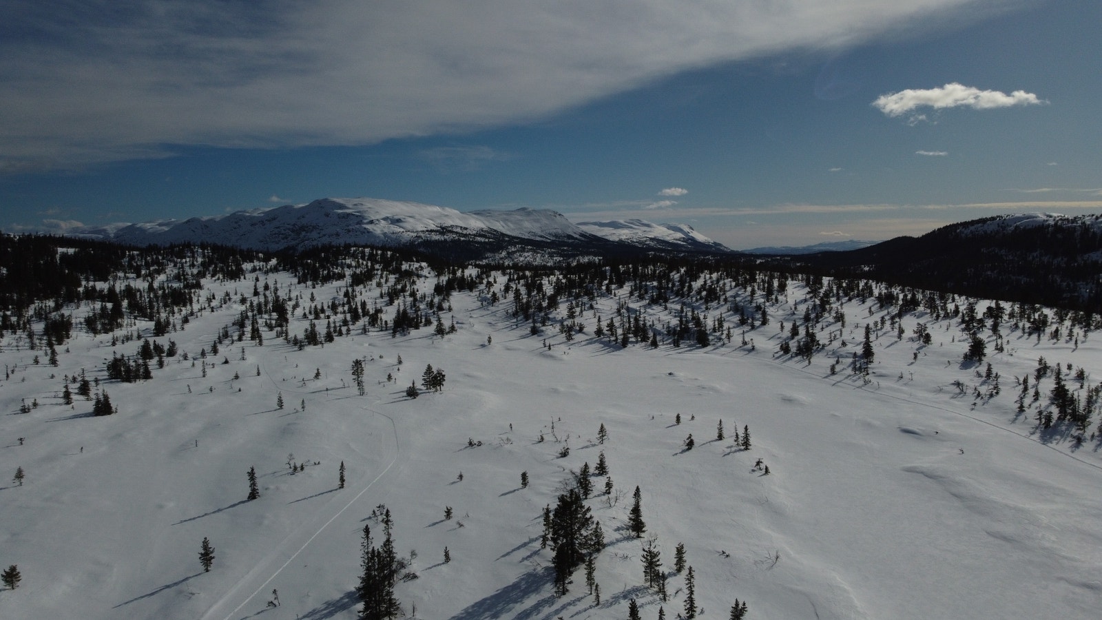 Dronebilde over feltet Galleribilde