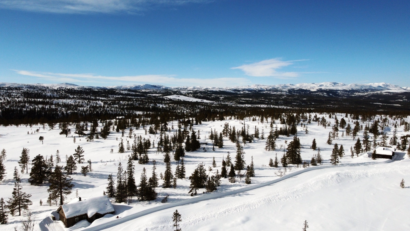 Dronebilde over feltet Galleribilde