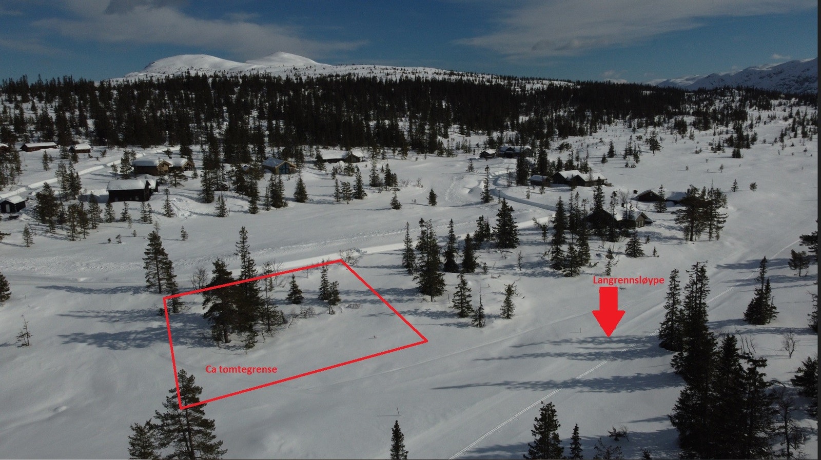 Ca tomtegrense Galleribilde