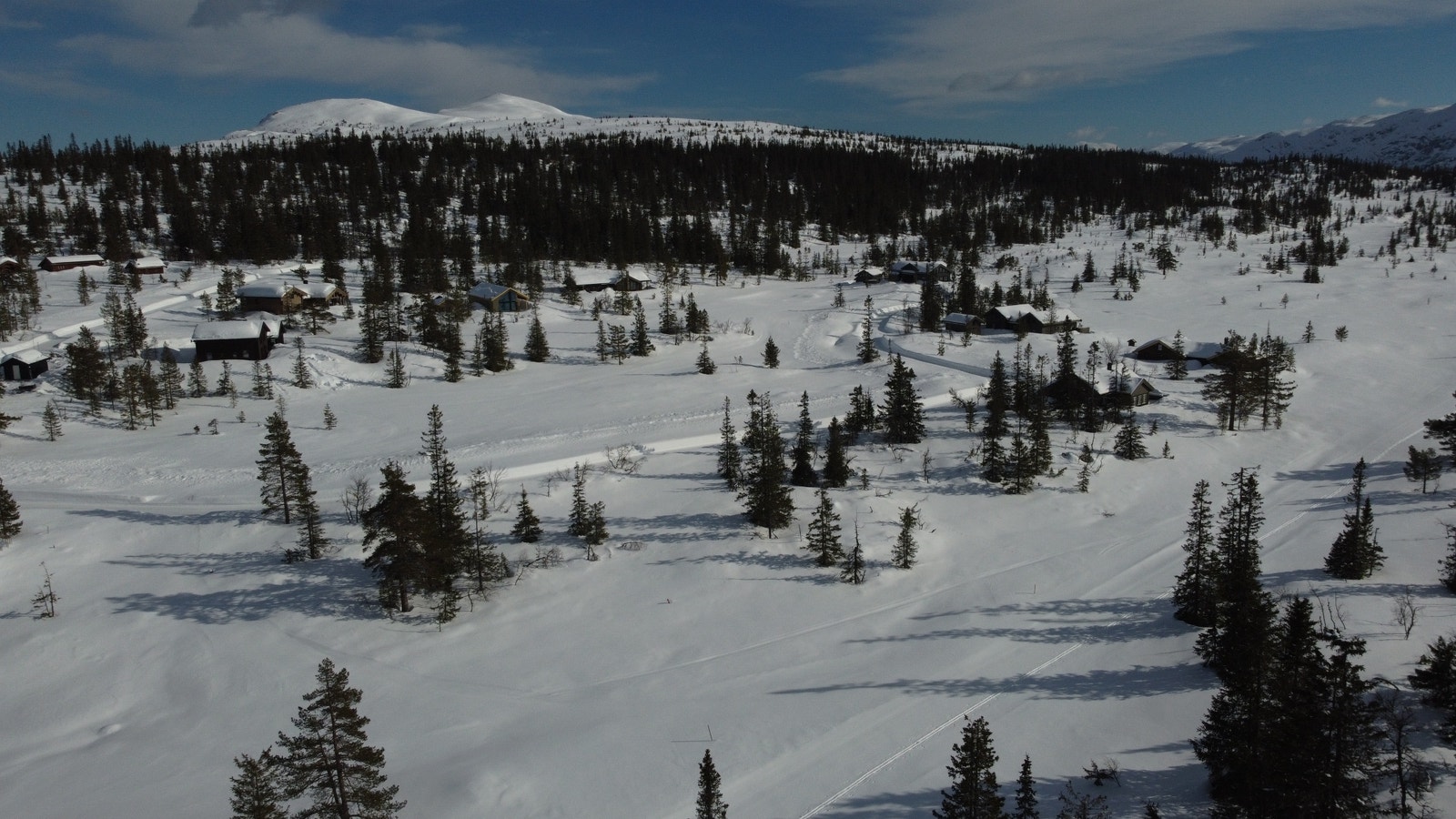 Dronebilde over feltet Galleribilde