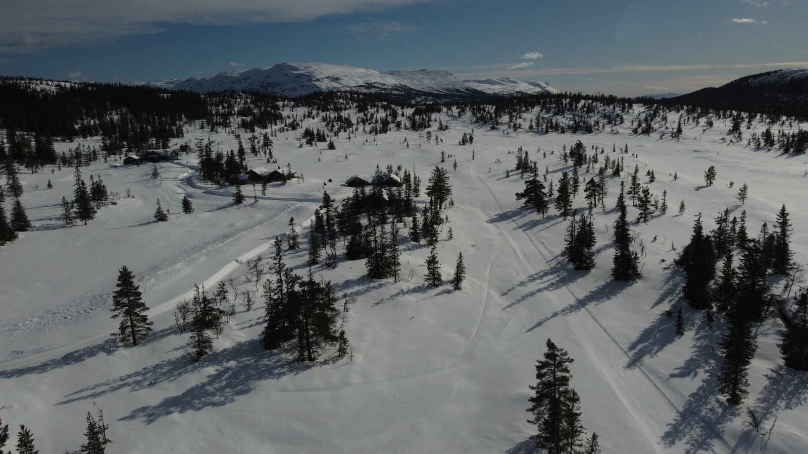 Dronebilde over feltet Galleribilde