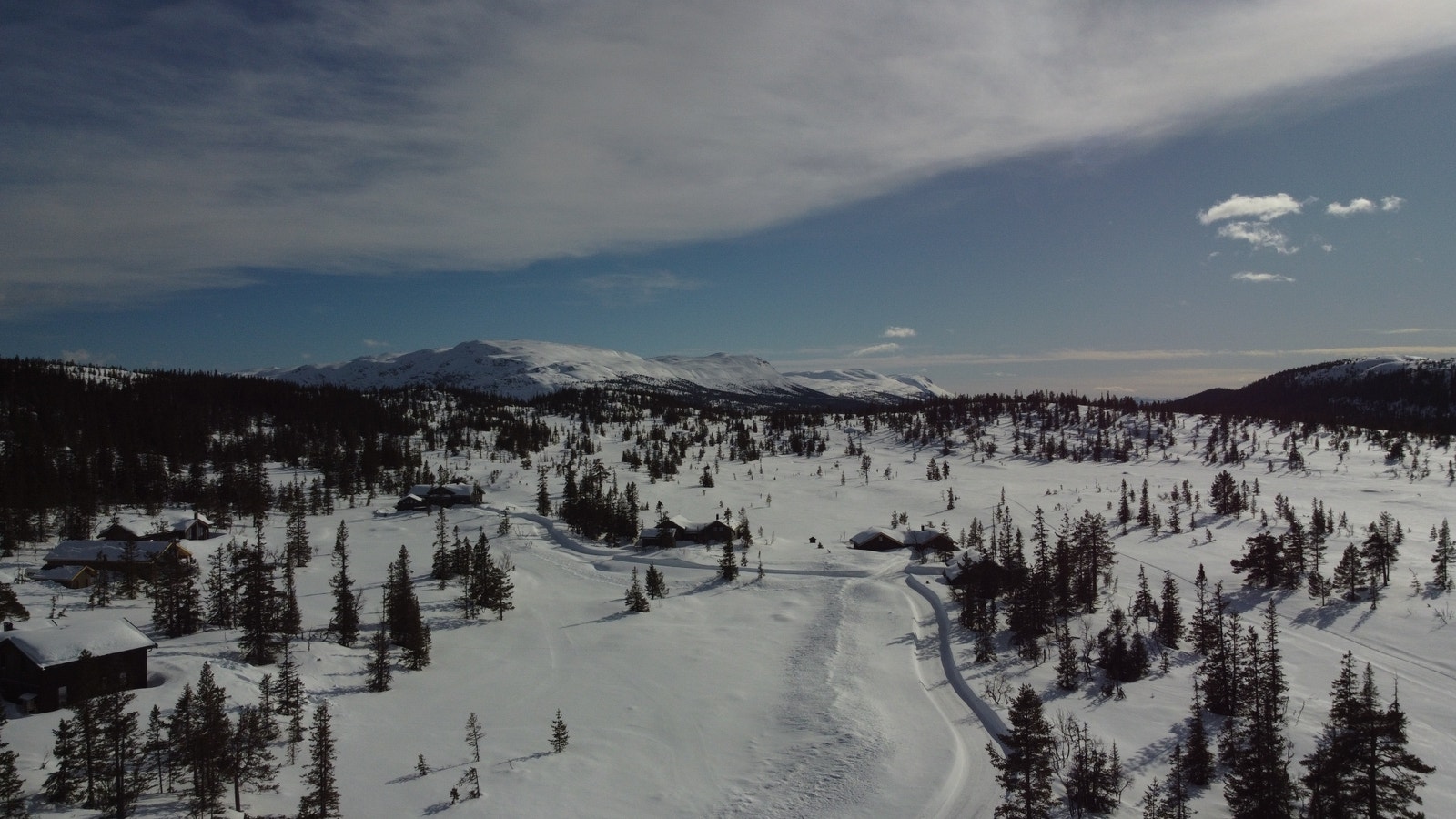 Dronebilde over feltet Galleribilde