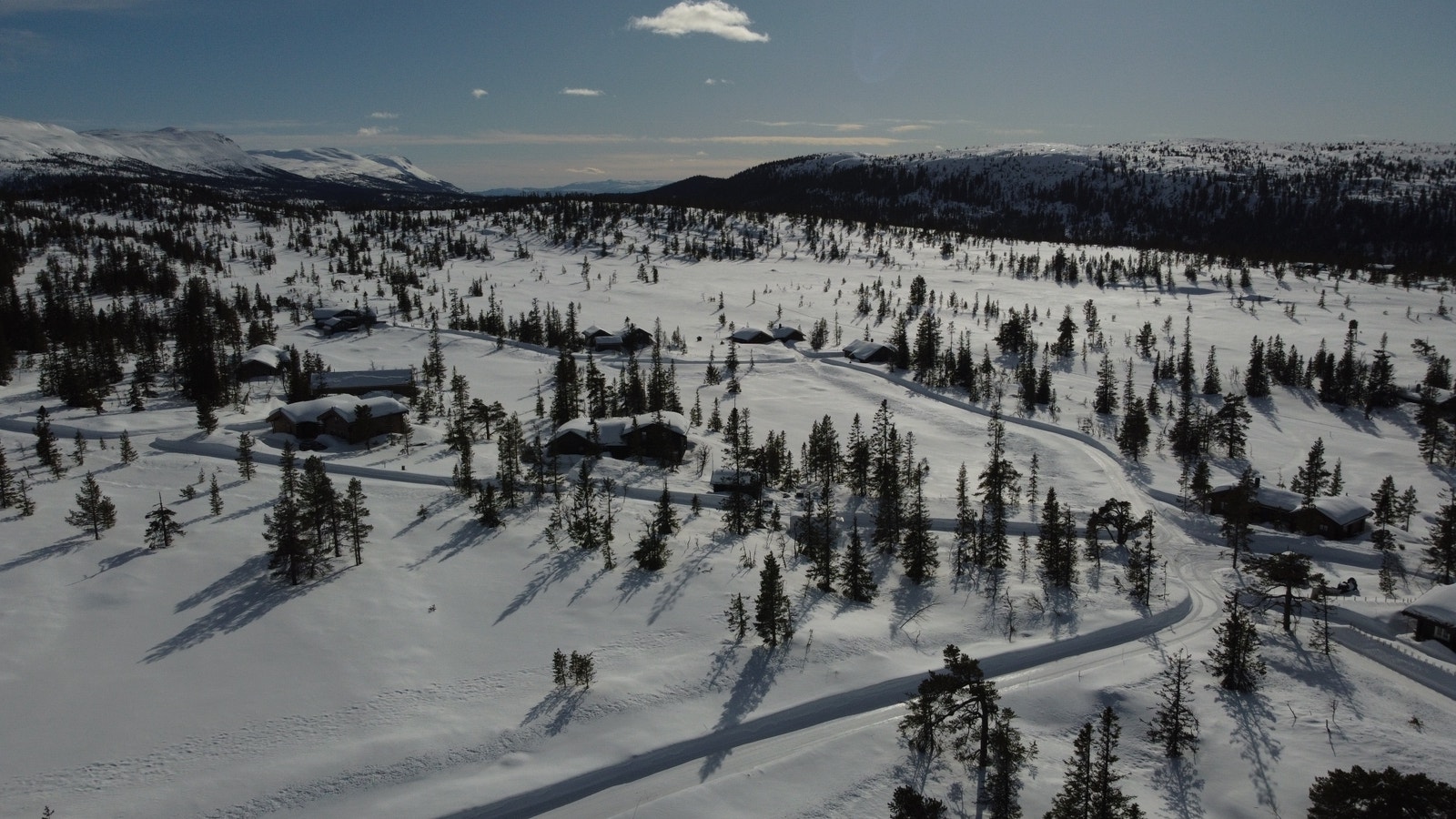 Dronebilde over feltet Galleribilde