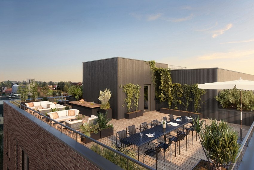 Illustrasjonbilde fra felles takterrasse i A-bygget Galleribilde