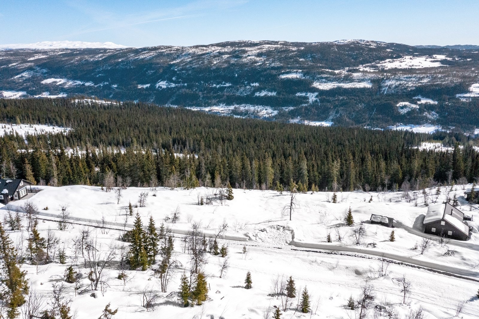 Tomten ligger fritt og åpent til på ca. 820 moh. Galleribilde