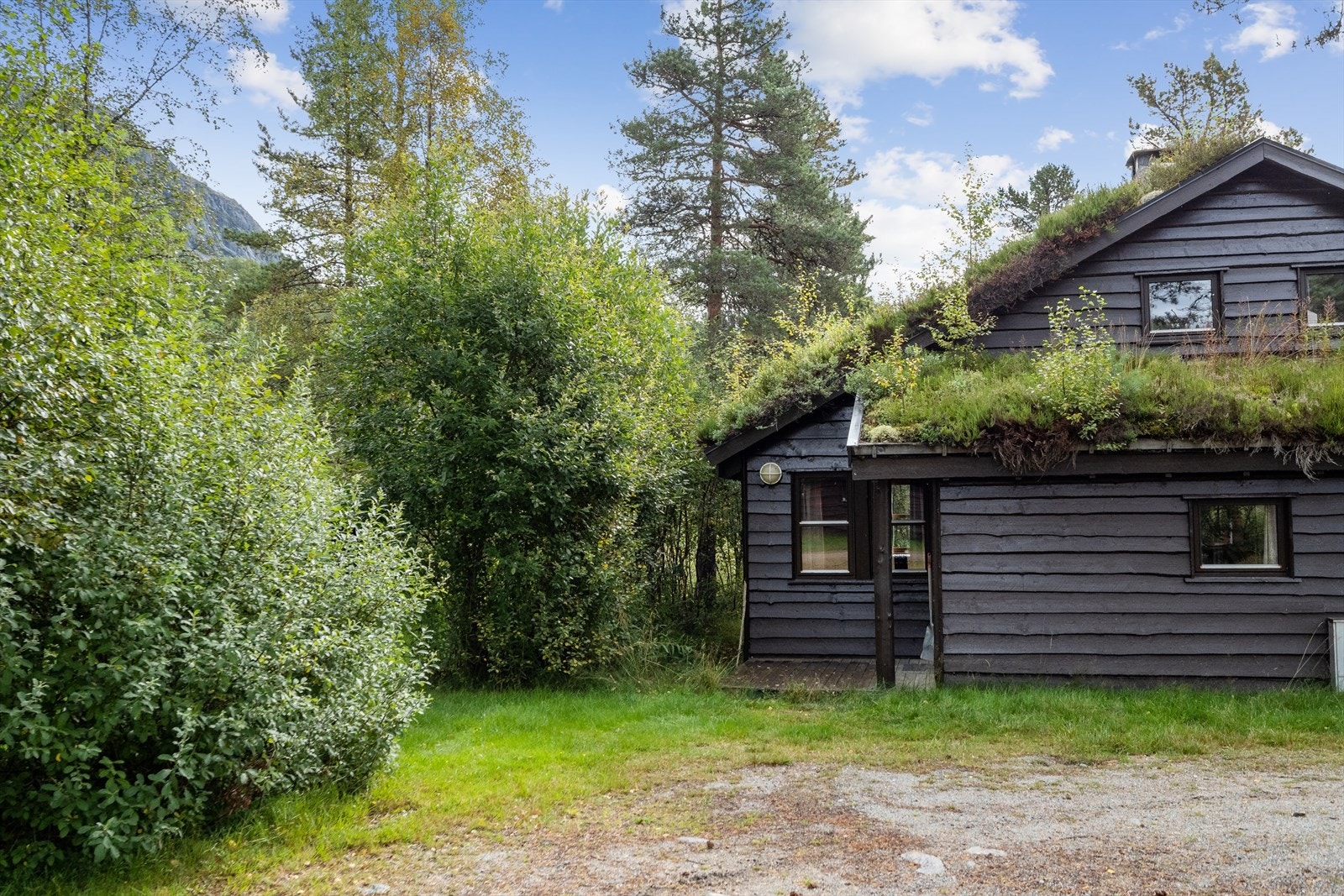 Her kan må stå i bakken på vinterstid og på sommerstid kan man benytte klatrepark og mountain carts. Galleribilde