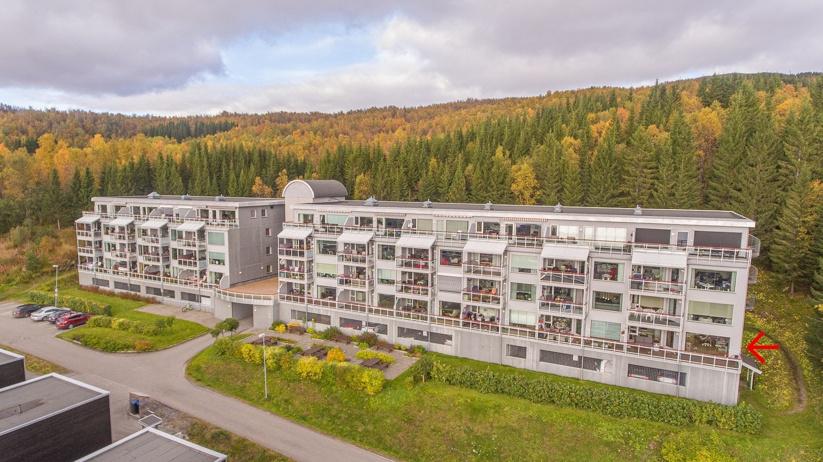 Direkte adkomst til naturen. Galleribilde