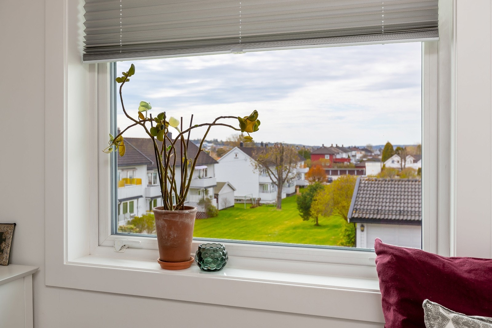 Hyggelig utsikt Galleribilde