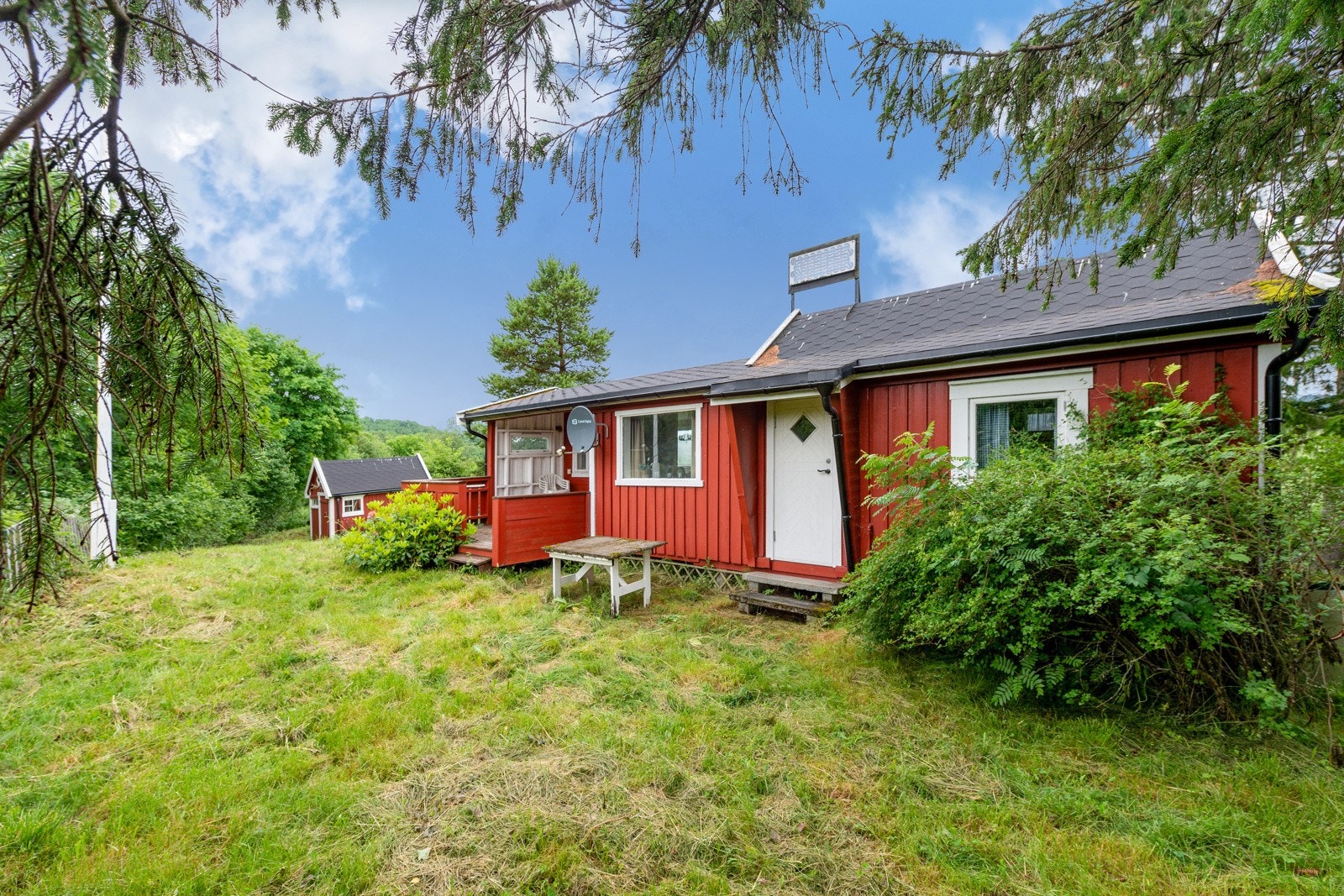 Flotte uteområder rundt hytta. Galleribilde