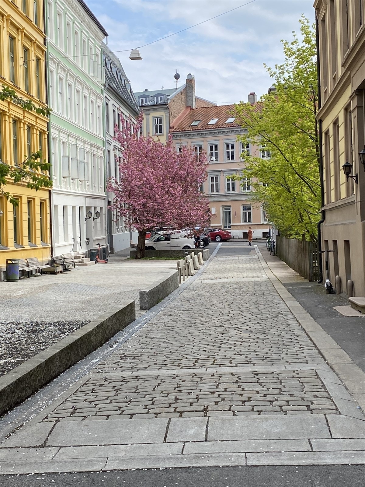 Rolig, men supersentralt bomiljø. Her fra nabogaten, Zetlitz gate. Galleribilde