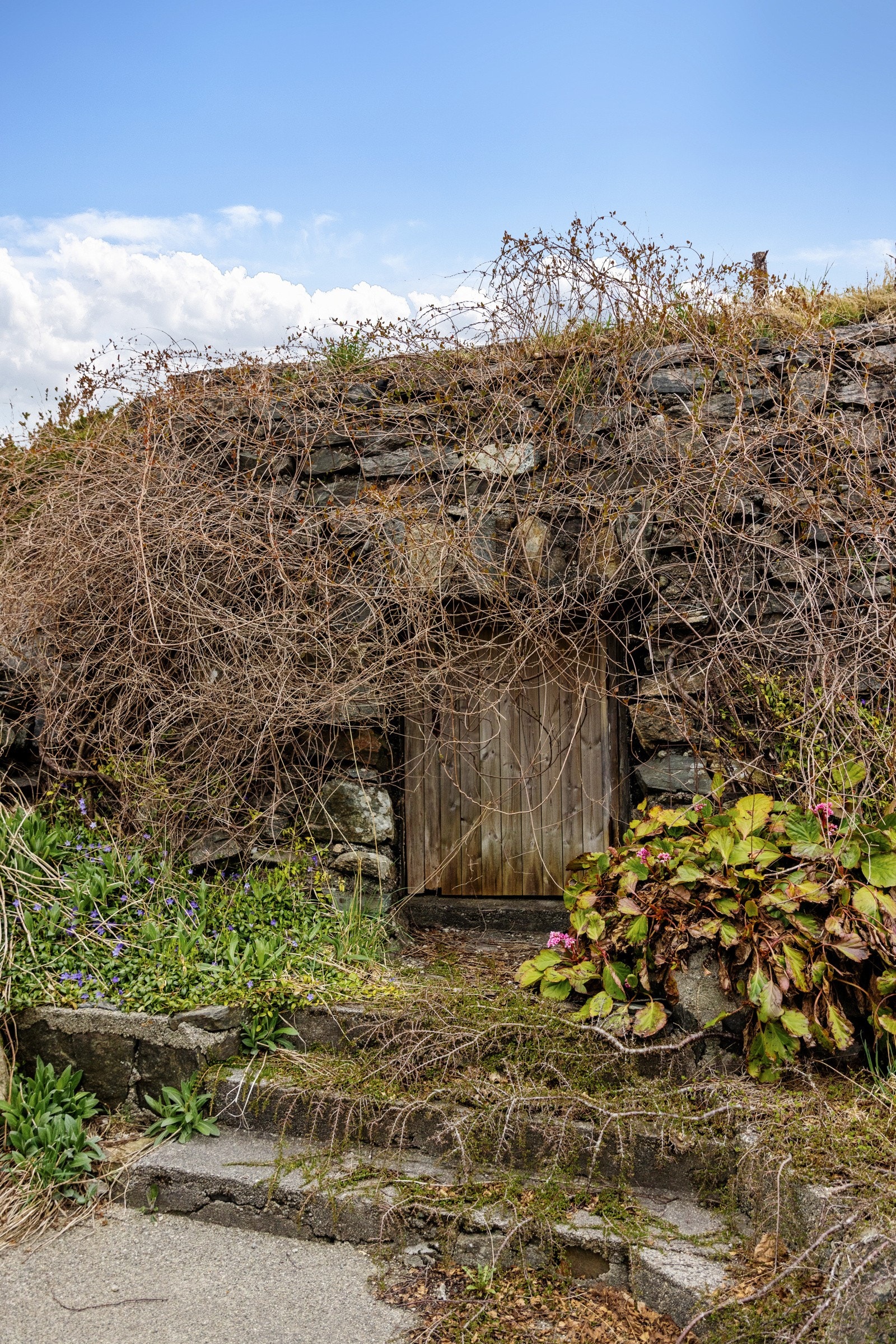 Bunkers etter 2.verdenskrig Galleribilde
