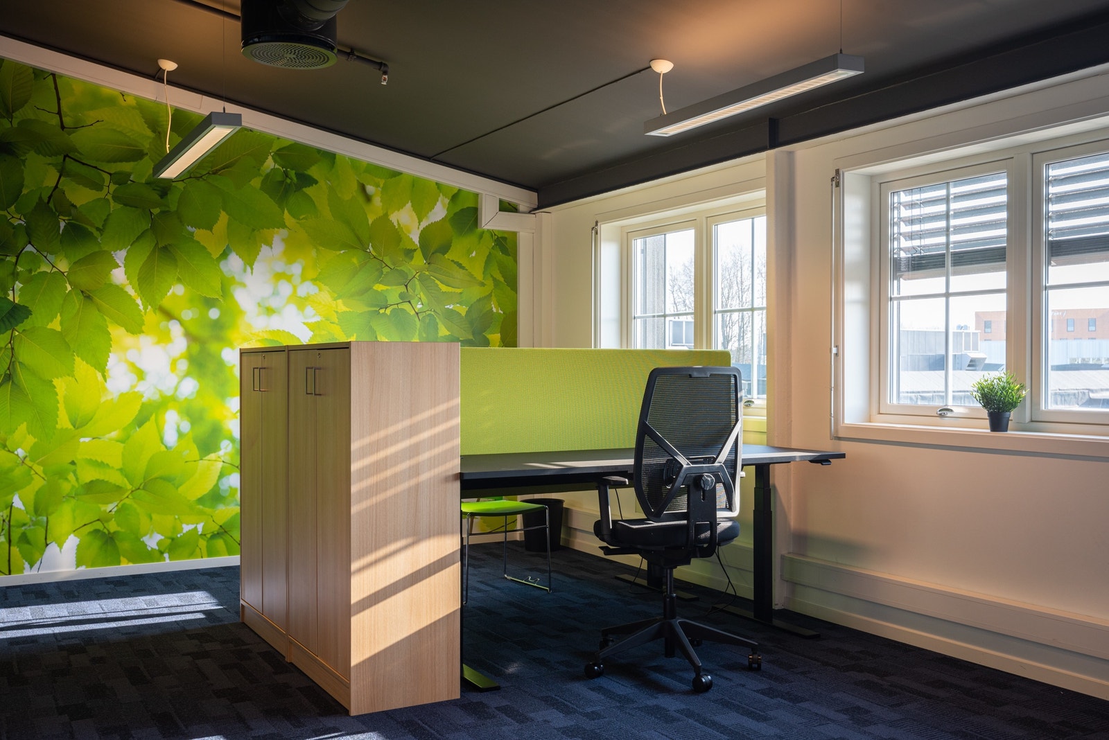 Landskap Galleribilde