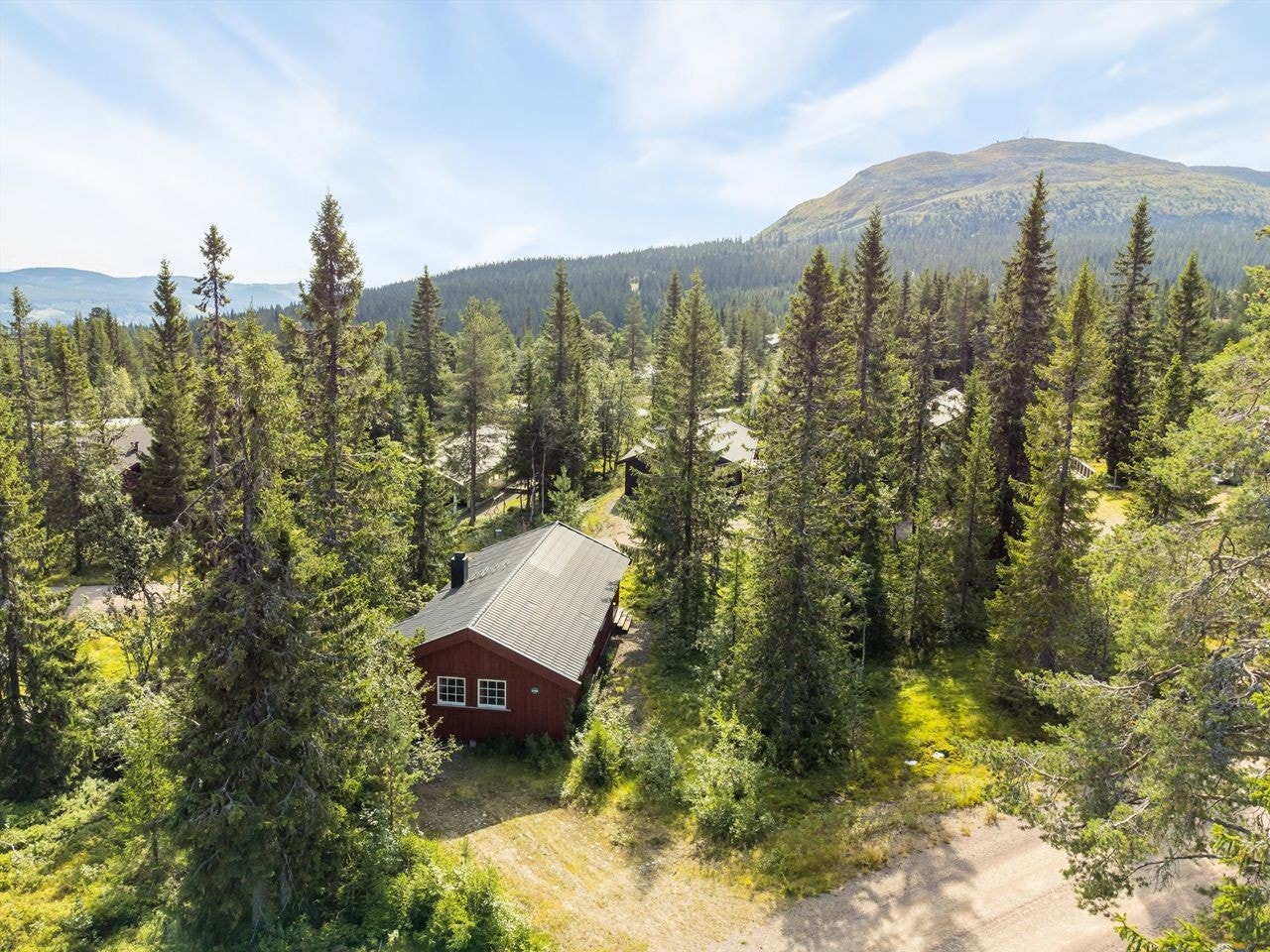 Velkommen til Fageråsen og Trysilfjellet! Koselig familiehytte med 3 soverom, ski inn og ut fra bakken. Galleribilde