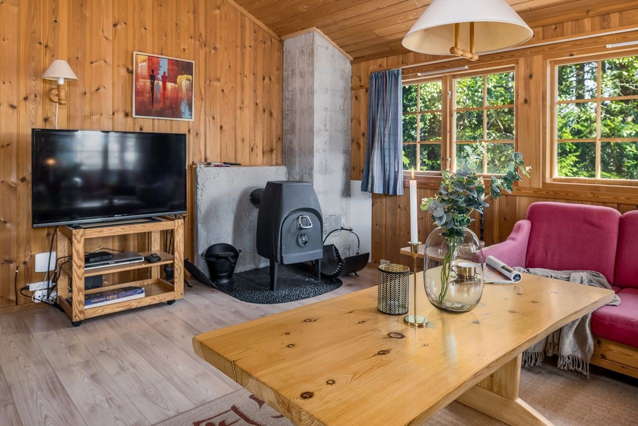 Hyggelig stue med hyttestemning Galleribilde