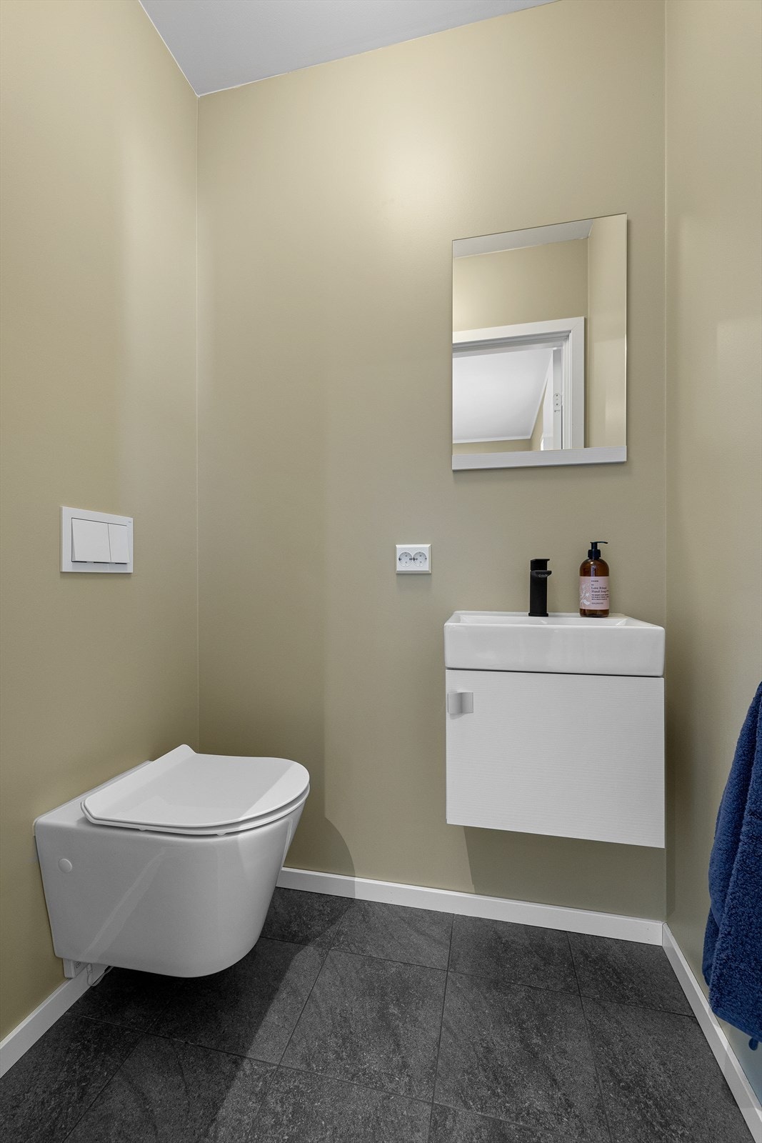 Fra entréen har man tilgang til en separat wc Galleribilde