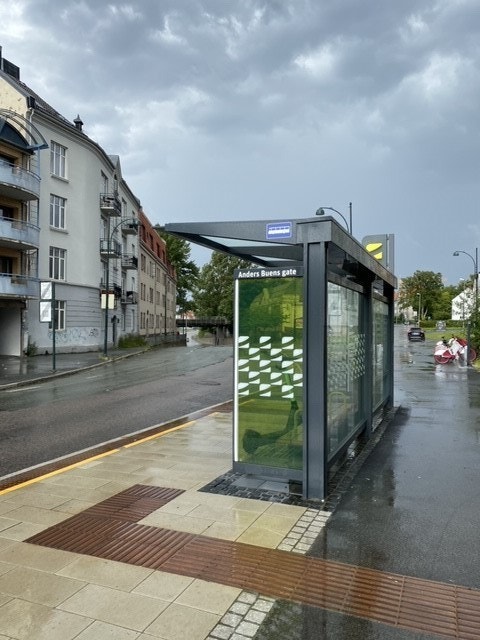 Nærområde Galleribilde