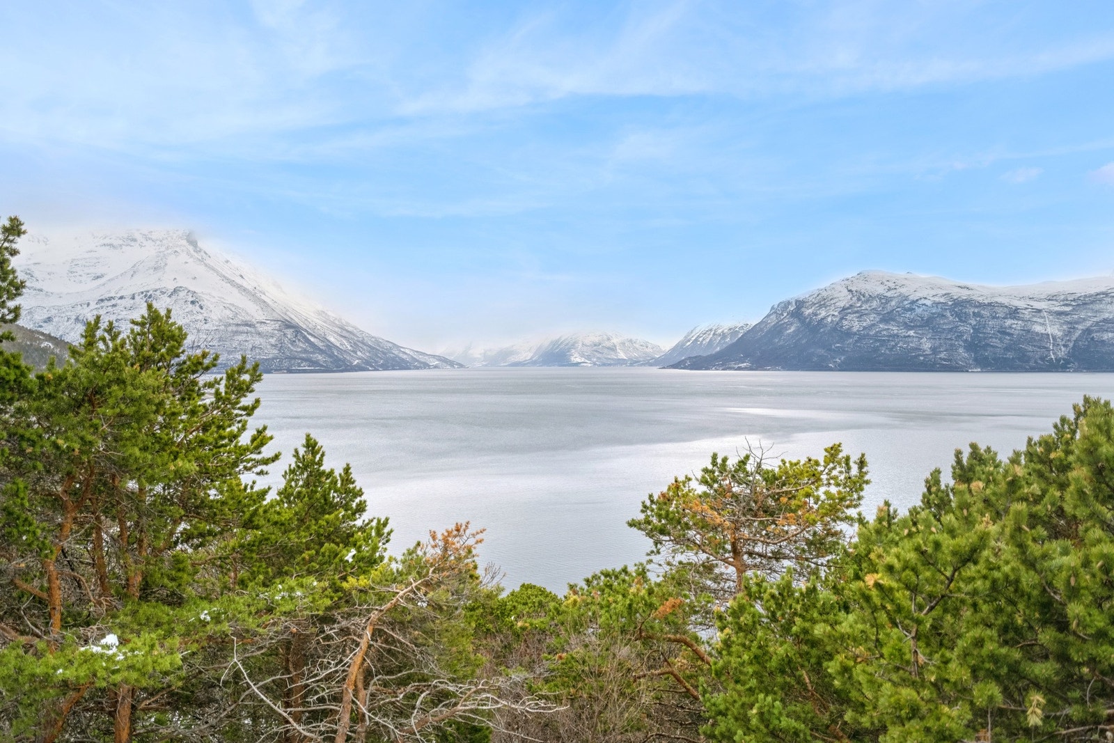 Man ser mot Lyngen og Kåfjorden Galleribilde