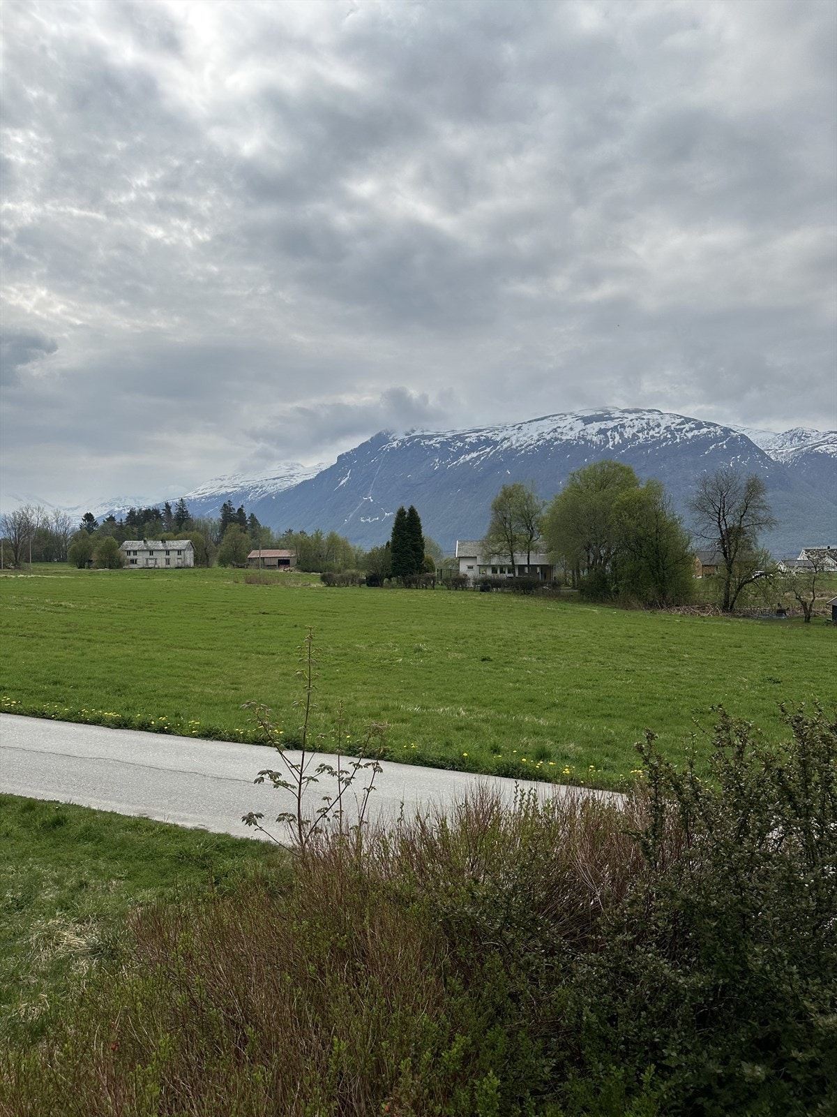 Utsikt Galleribilde