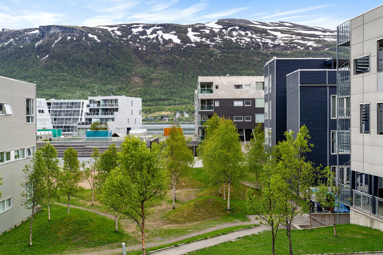 Områdebilde