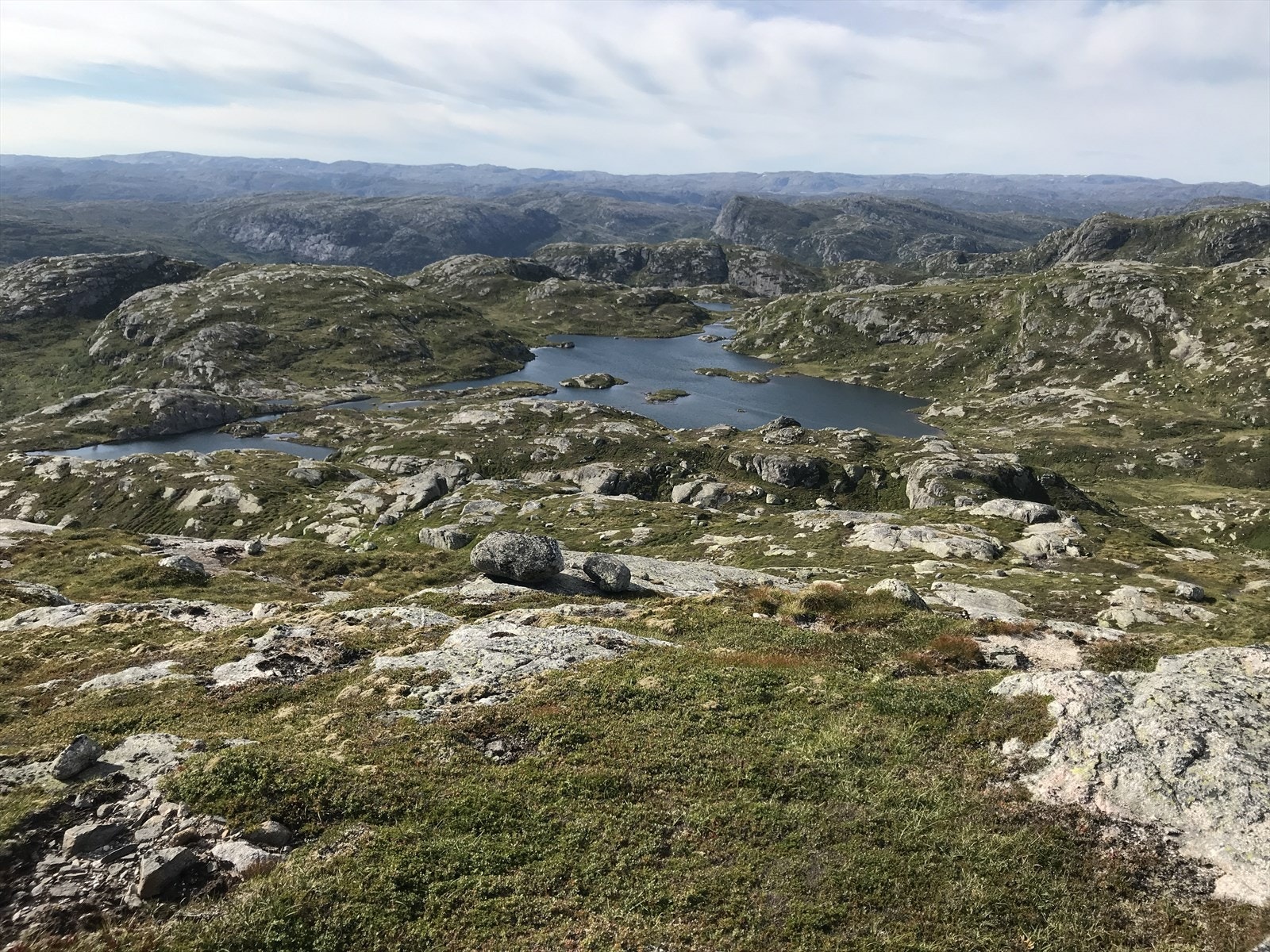 Nærområde Galleribilde