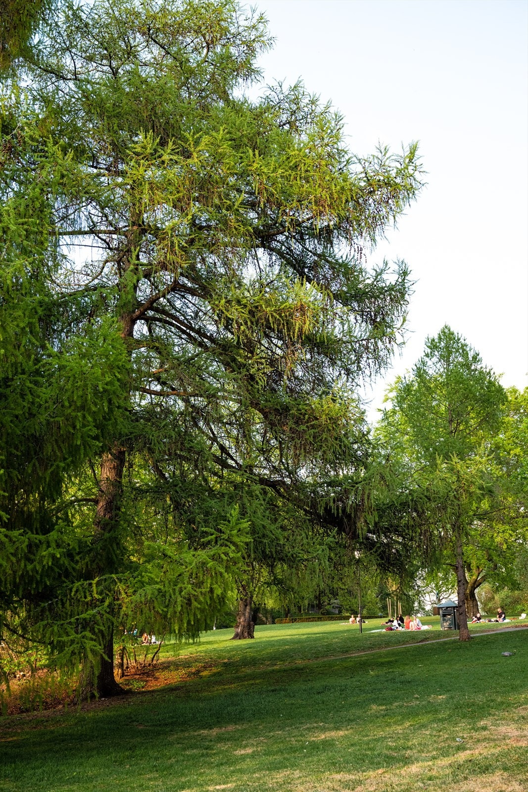 Kampen park ligger bare et steinkast unna, med sin varierte natur og avslappet atmosfære Galleribilde